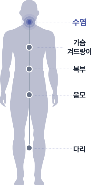 수염