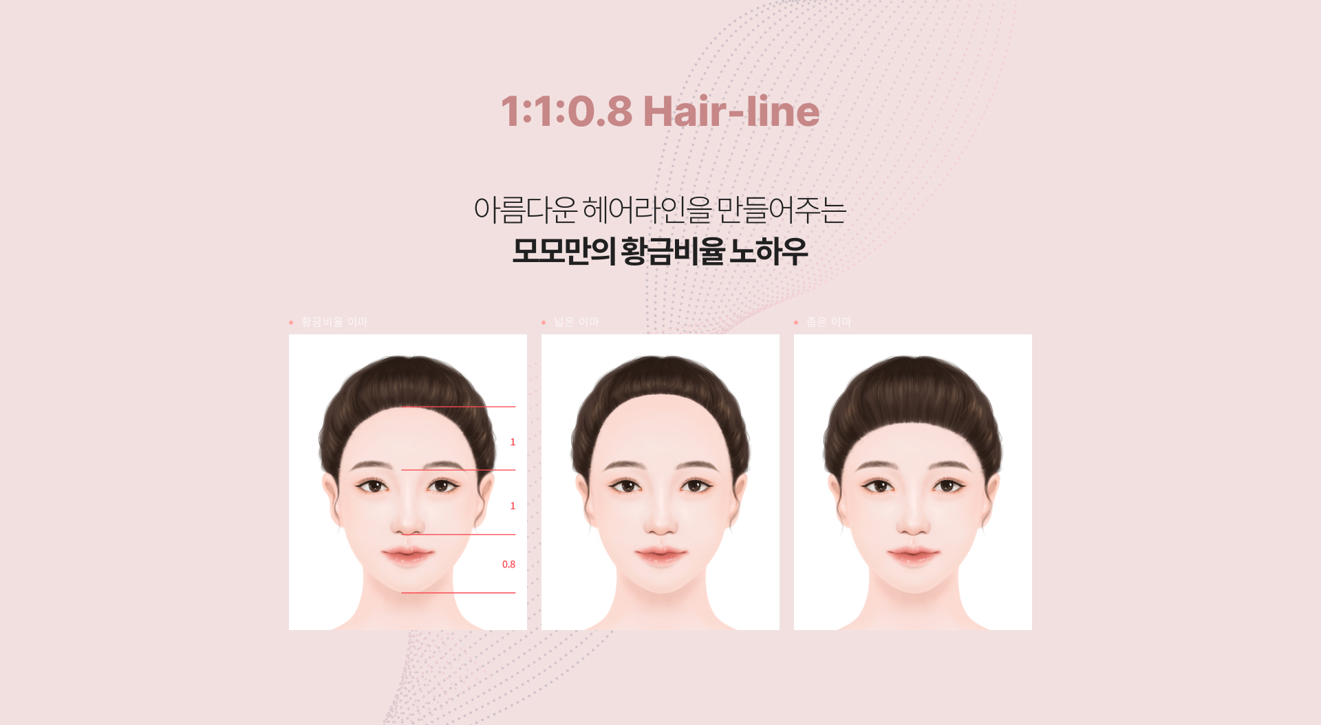 1:1:0.8 Hair-line 아름다운 헤어라인을 만들어주는 모모만의 황금비율 노하우. 예시) 황금비율 이마 / 넓은 이마 / 좁은 이마